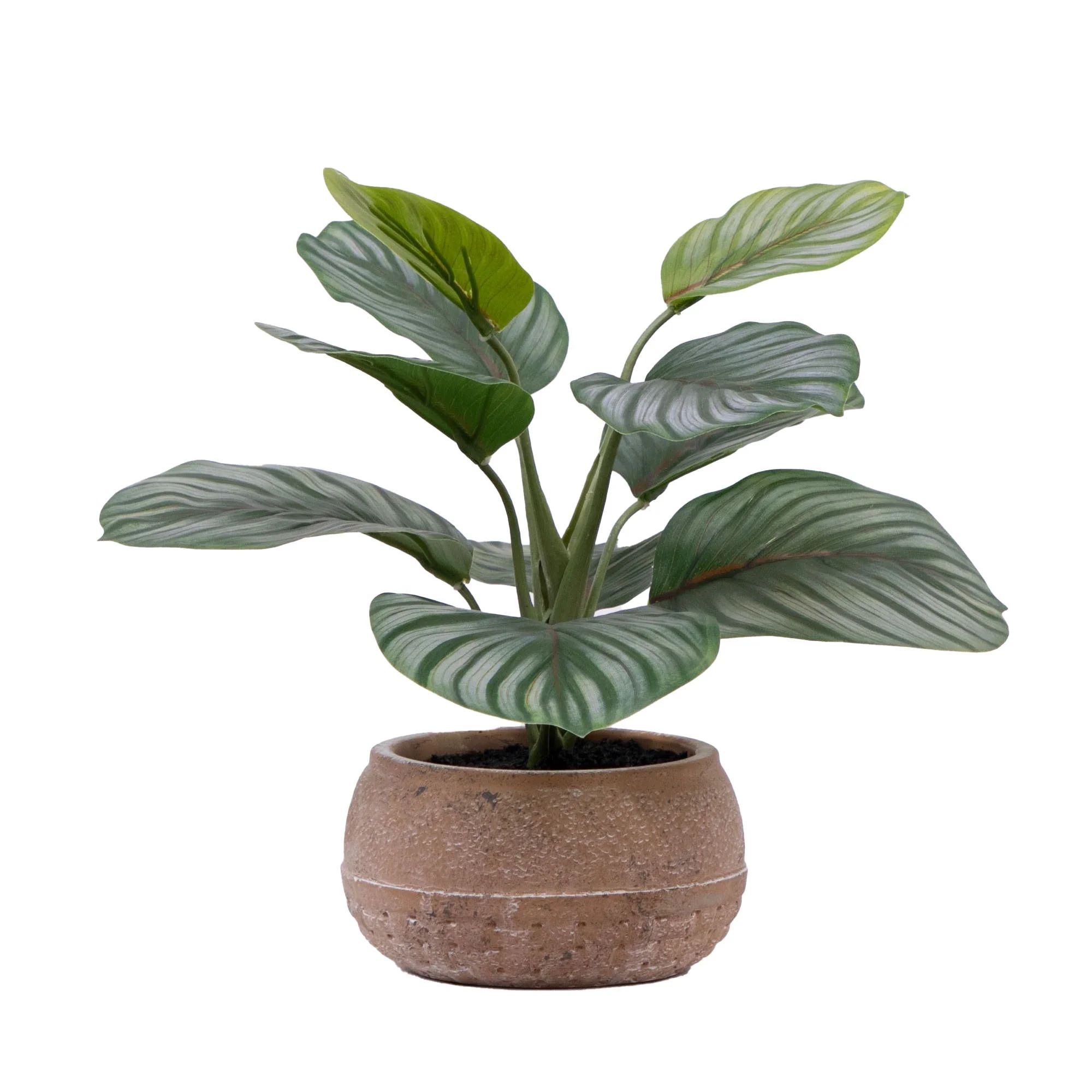 Better Homes & Gardens 9.5"H Artificial Indoor Calathea in Stone Planter | Walmart (US)