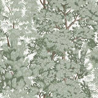 RoomMates Green Ardian Matte Vinyl Peel and Stick Wallpaper RMK12661RL - The Home Depot | The Home Depot