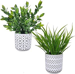 Winlyn Set of 2 Artificial Potted Plants Potted Eucalyptus Plant Artificial Grass in Modern Concr... | Amazon (US)