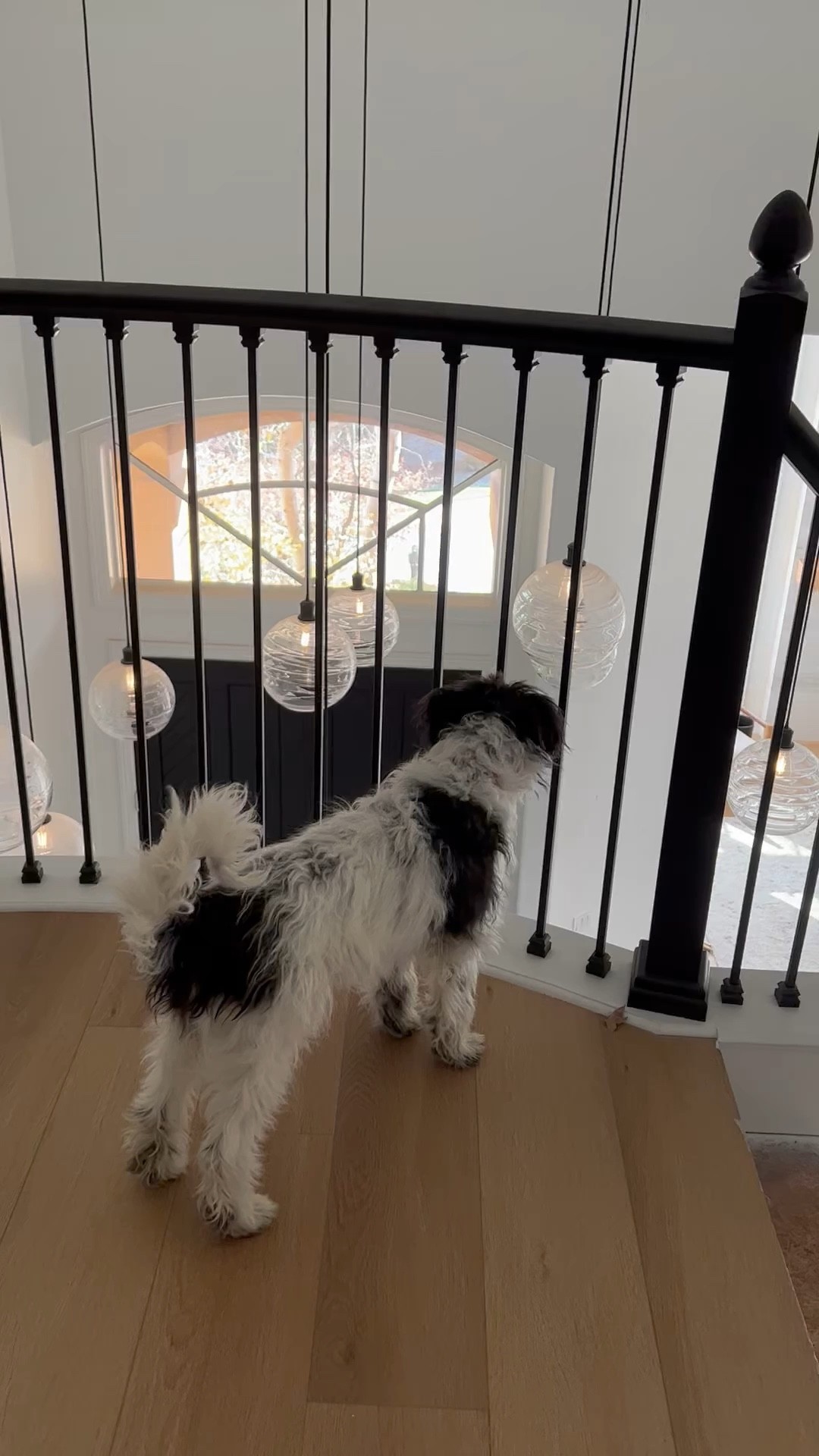 Need to change up your entry without breaking the bank? I am in the process of renovating my home. I need to cut costs Wherever possible. I took out my previous spindles and found some more modern simple ones that worked well with my new pendant lighting and black and white decor! 🖤


Entranceway, staircase, modern decor, mid century modern, black and white home, modern staircase, modern spindle


#giftguide
 #LTKBeauty #LTKAustralia #LTKBrazil #LTKBump #LTKCurves #LTKEurope ##LTKK #LTKHome #LTKItbag #LTKSaleAlert #LTKShoeCrush #LTKStyleTip #LTKTravel #LTKUnder50#LTkunder100 #LTKWedding #LTKWorkwear

#LTKSeasonal #LTKHoliday #LTKhome