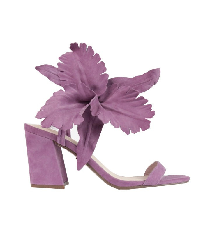 HIBISCUS | Cecelia New York