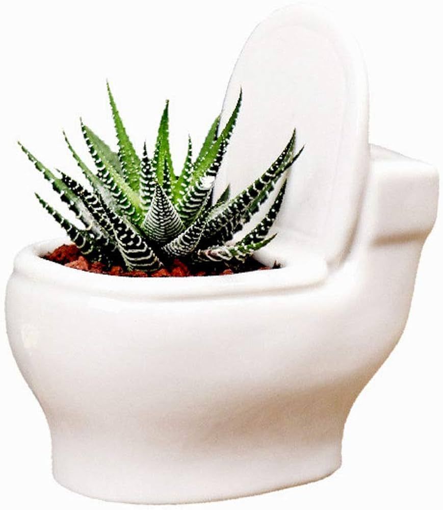 MONMOB Ceramic Toilet Plant Pot/Bonsai Pot/Flower Pot/Succulent Planter(White) (4.6") | Amazon (US)