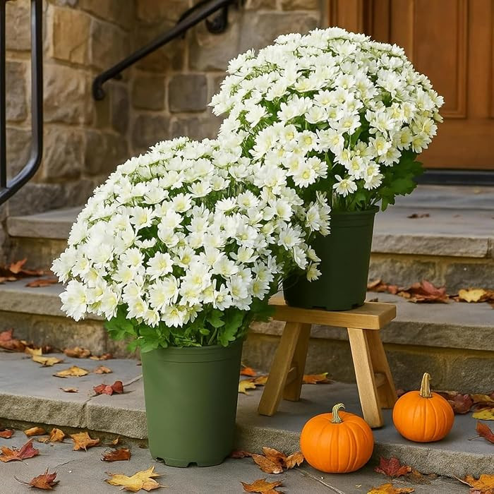 10 Bundles Artificial Mums for Outdoors, Faux Mums for Outdoor Planters, UV Resistant Waterproof ... | Amazon (US)