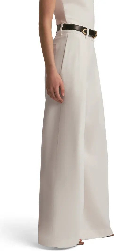 Pleated Wide Leg Pants | Nordstrom