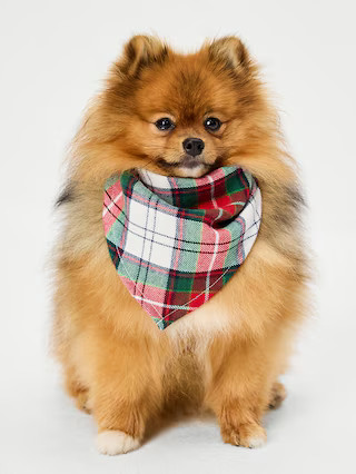 Holiday Bandana for Pets | Old Navy (US)