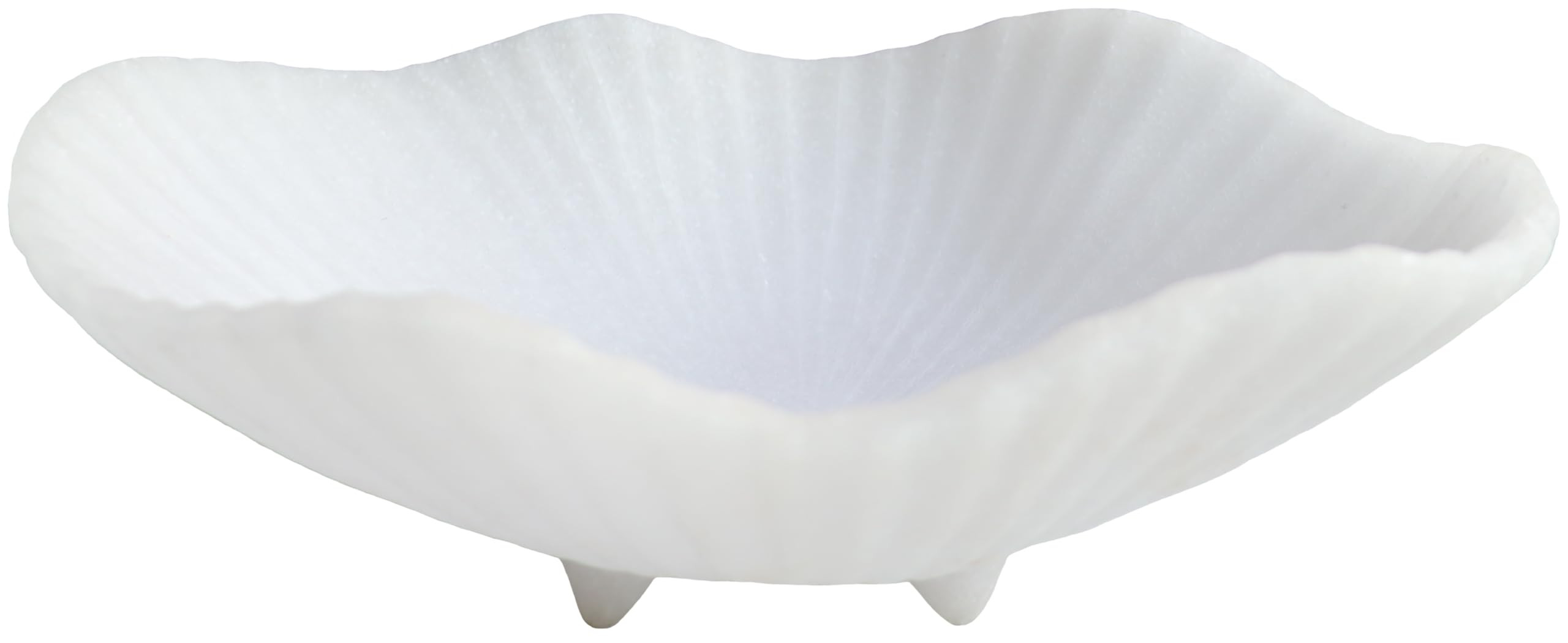 Large Decorative Bowl decor, Scalloped Pedestal Bowls,Modern Home Decor,Ruffle Decor,Stylish Key ... | Amazon (US)