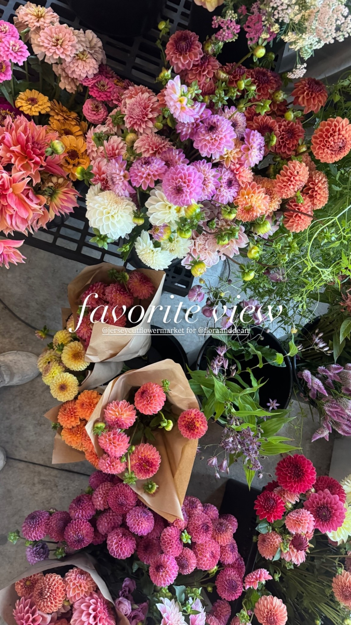 @jerseycutflowermarket for @floraanddean  favorite view

#LTKHome #LTKSeasonal #LTKWedding