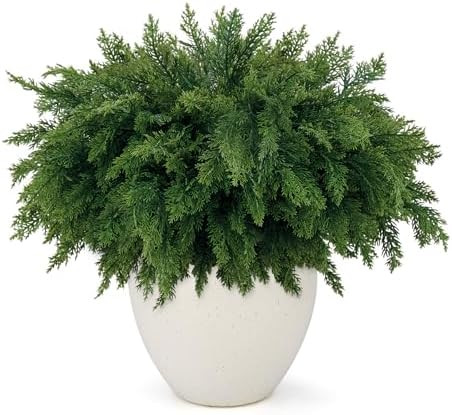 18 Inch Real Touch Cedar Branches - 8 Pcs Artificial Christmas Plants Branches, Faux Greenery Pin... | Amazon (US)