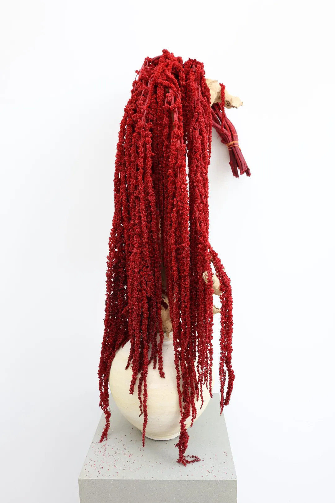 Deep Red Amaranthus Hanging Preserved - Etsy | Etsy (US)