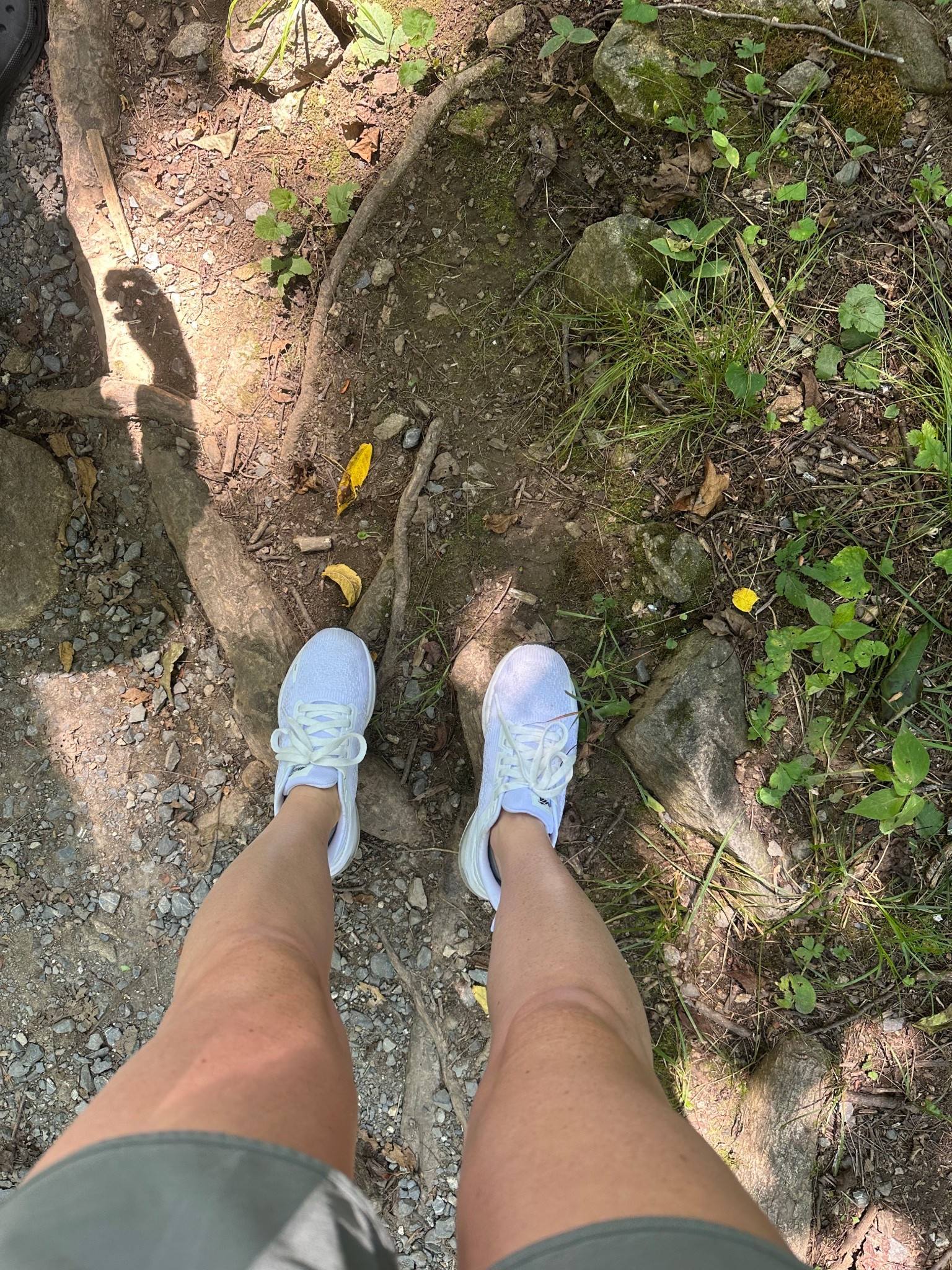 So impressed with these shoes from Walmart!! Hiked in them today and they are honestly so good 
Hiking shoes
Tennis shoes 
Dupes 

#LTKShoeCrush #LTKFindsUnder50 #LTKActive