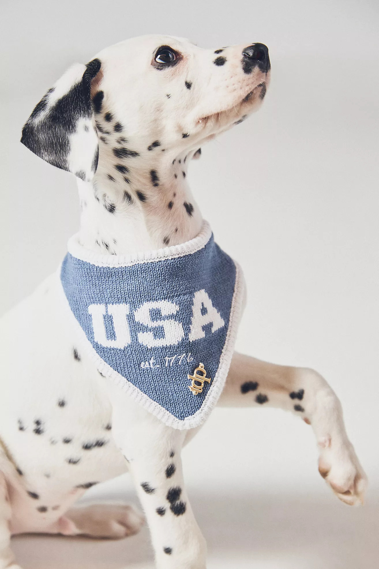The Deluxe Pup Fourth of July Pet Bandana | Anthropologie (US)