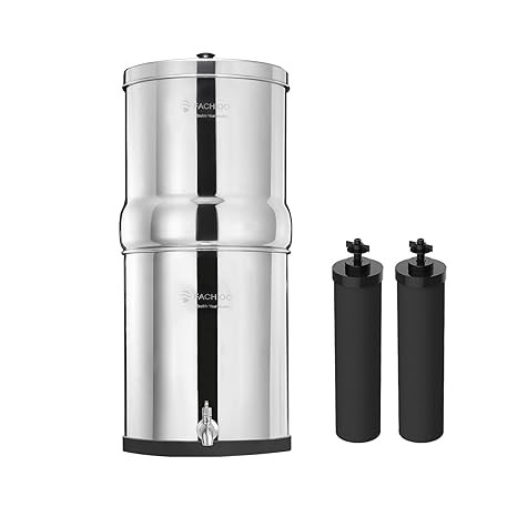 2.25G Stainless Steel Gravity-Fed Water Filter System with 2 Black Purification Filter and Metal ... | Amazon (US)