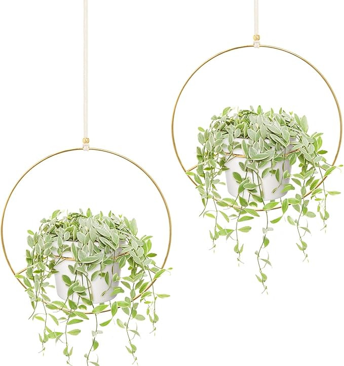 Mkono Boho Hanging Planter, Set of 2 Round Metal Plant Hanger with Plastic Plant Pot, Modern Wall... | Amazon (US)