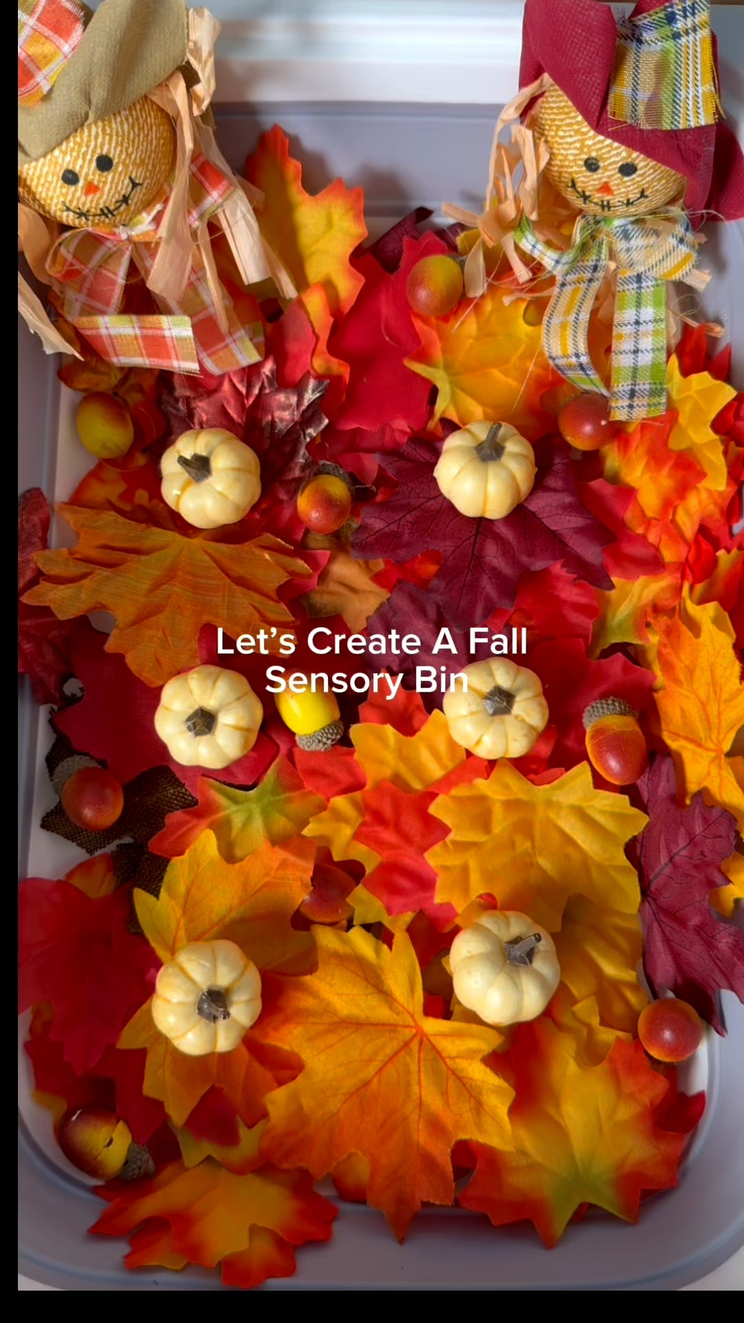 Let's create a fall themed sensory bin! * I've made a pumpkin patch themed sensory bin for my toddler! He loved it and it's a great way to get into the fall spirit.

#LTKKids #LTKFamily #LTKSeasonal