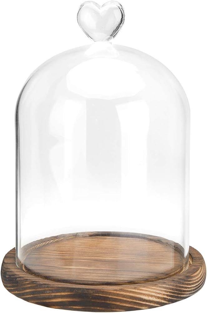 MyGift 6 Inch Small Clear Glass Cloche Bell Jar Display Case with Heart Top Handle and Dark Brown... | Amazon (US)