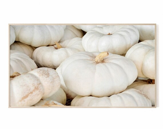 White Pumpkin Pile Samsung Frame TV Art Instant Download - Etsy | Etsy (US)