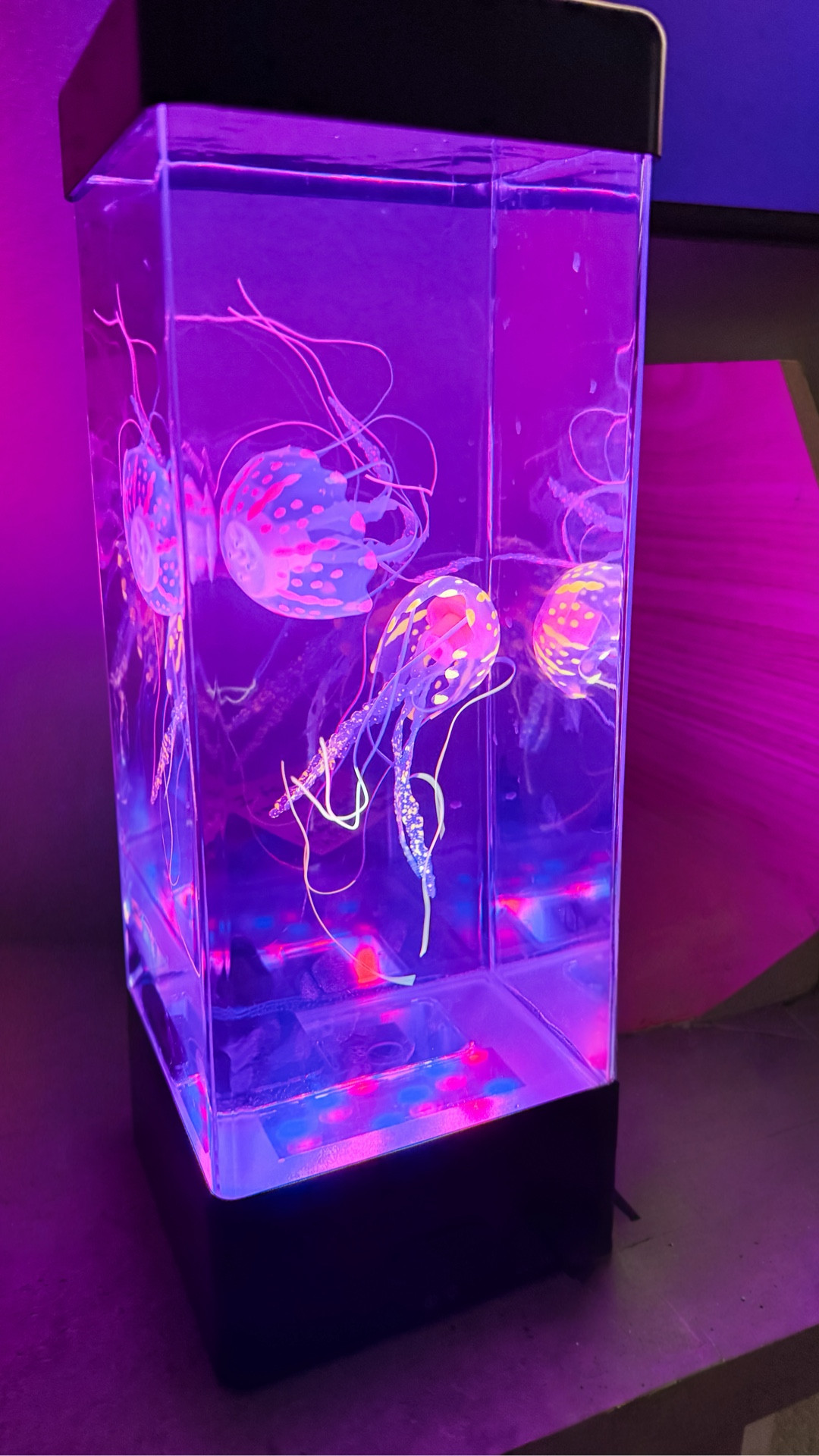 Jellyfish tank. Pretend jellyfish pet. Kid finds. Gift idea for kids

#LTKKids #LTKHome #LTKFindsUnder100