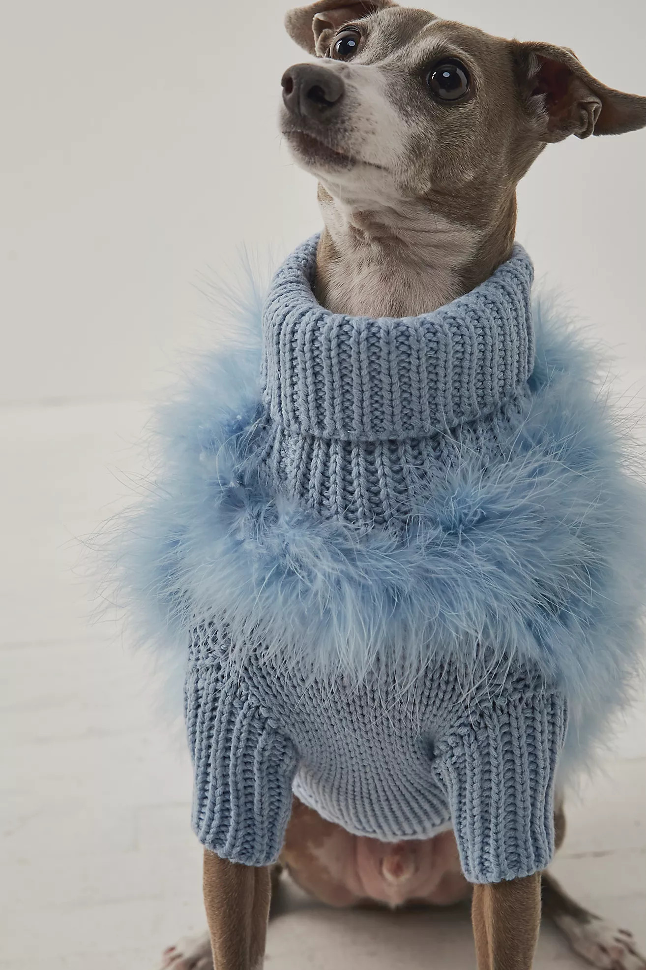 Maxbone x Christian Cowan Jumper | Free People (Global - UK&FR Excluded)