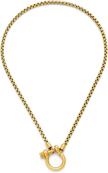 TONLUYAX Gold/Silver Chunky Horse Bit Necklace for Women Carabiner Lock Pendant Necklace Statemen... | Amazon (US)