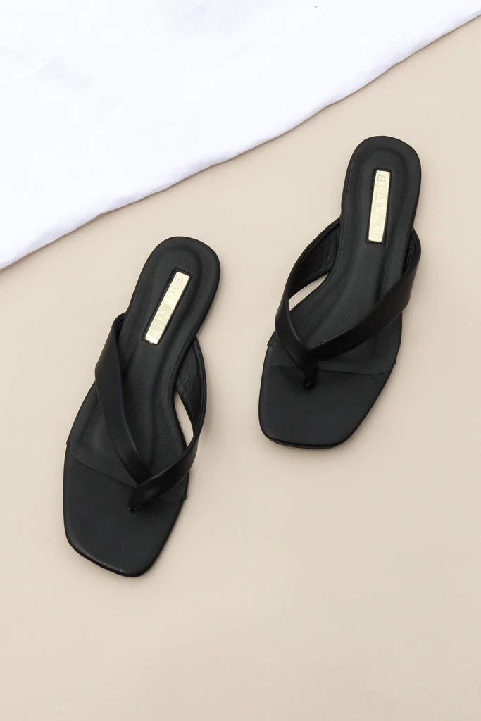 Azara Slide - Black | Petal & Pup (US)