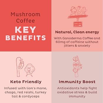 KOS Mushroom Coffee - Dark Chocolate Mocha Flavor - Organic Instant Coffee Mix with Reishi, Cordy... | Amazon (US)