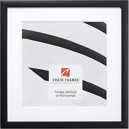 Craig Frames 16 by 16-Inch Black Picture Frame, Single White Mat with 1 - 12 by 12-Inch Square Op... | Amazon (US)