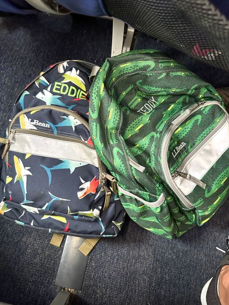 Kids Travel Backpacks 

#LTKSaleAlert #LTKKids #LTKTravel