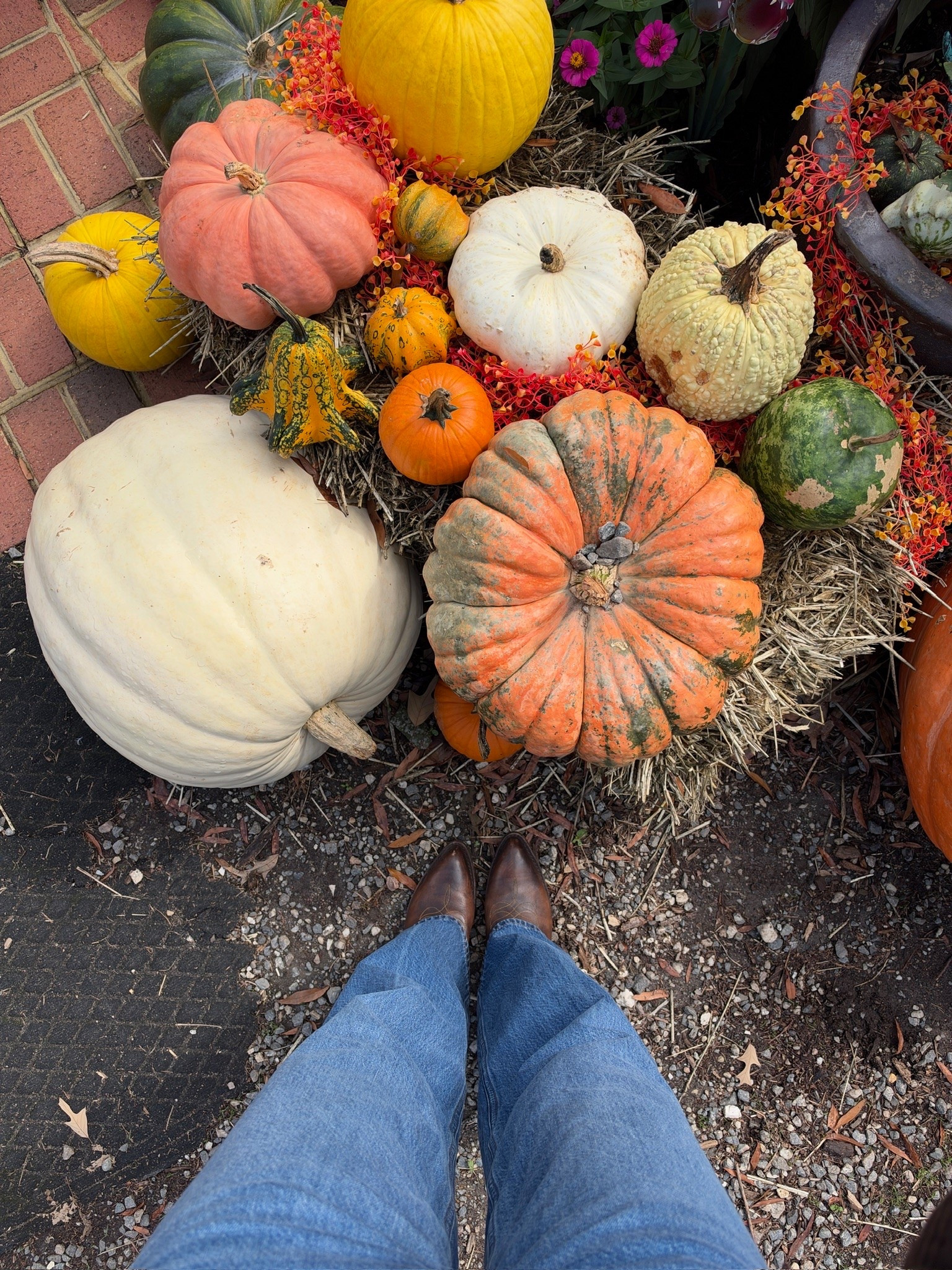 Fall outfit! Wearing size S white long sleeve tee, size S bandana cardigan (exact is OOS in brown but I’ve linked similars) and size 27 long jeans


fall fashion, jeans, fall sweater, fall cardigan, dinner outfit, casual outfit, comfy outfit