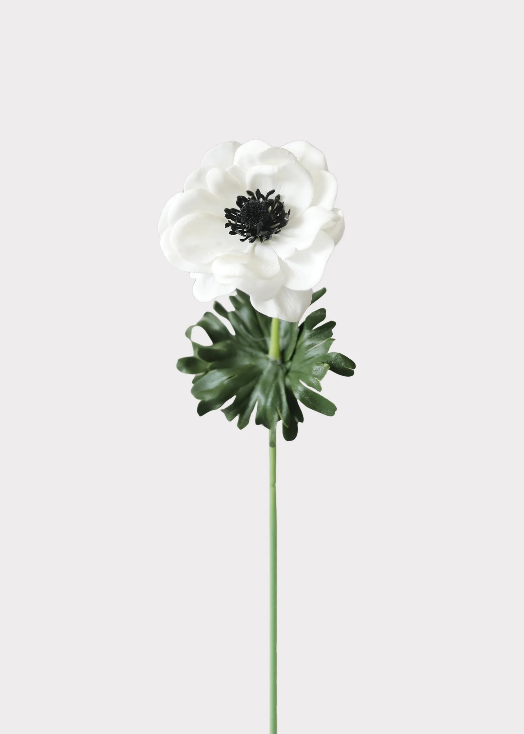Anemone Stem in White | Real Touch Artificial Flowers | Afloral | Afloral