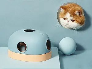 MS!MAKE SURE Cat Toy, Three-in-One Cat Puzzle Treat Toy, Cat Treat Dispenser /Ball Track /Physica... | Amazon (US)