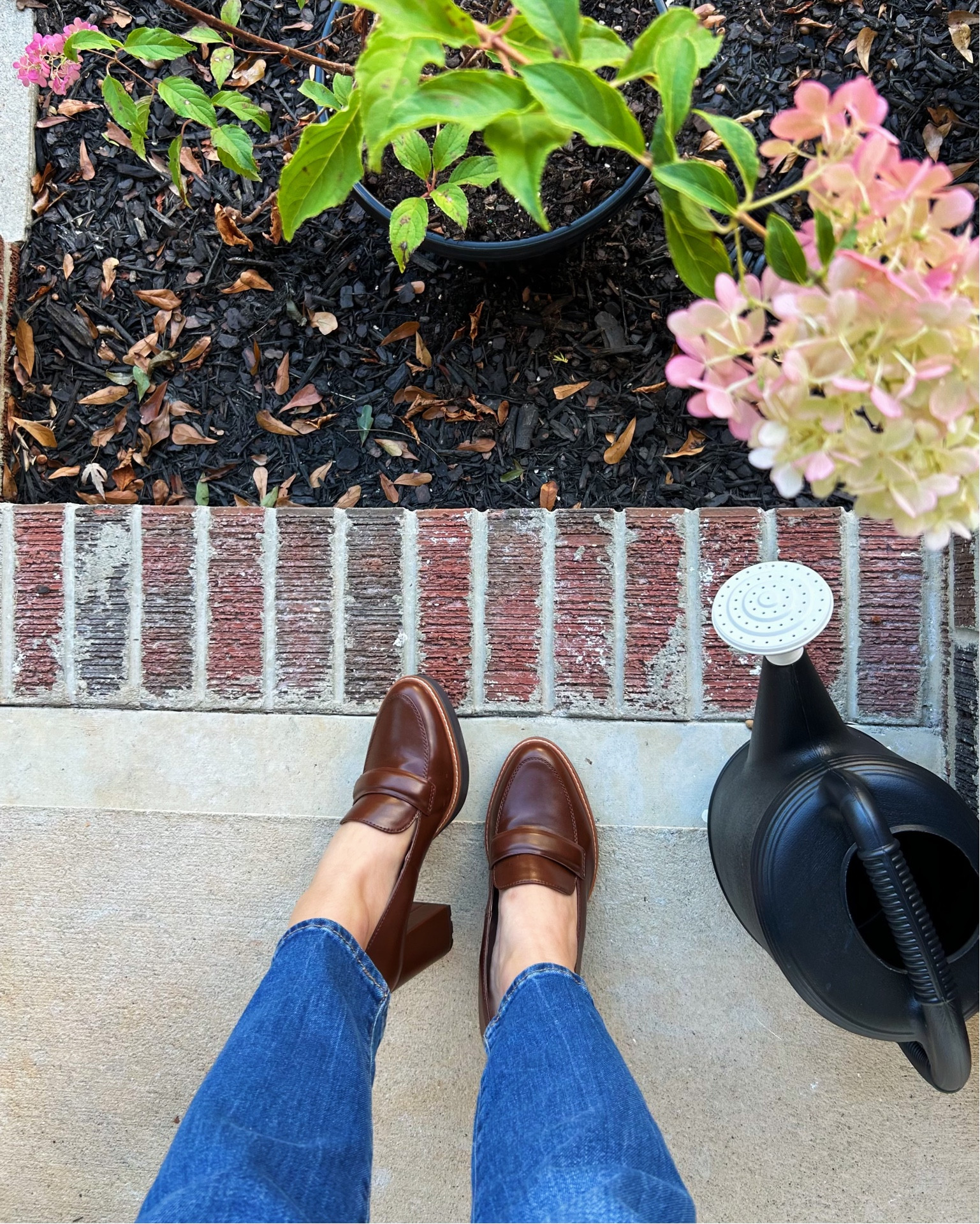 During my first internship I officially became a shoe girl. The owner of the company’s wife would come in with the fanciest shoes and I couldn’t look away. Most memorable to me were her beautiful leather Gucci shoes that looked pretty similar to these! Thankfully these were a teeny fraction of the cost and on sale! Also comfortable!! 

#LTKsalealert #LTKstyletip #LTKfindsunder100