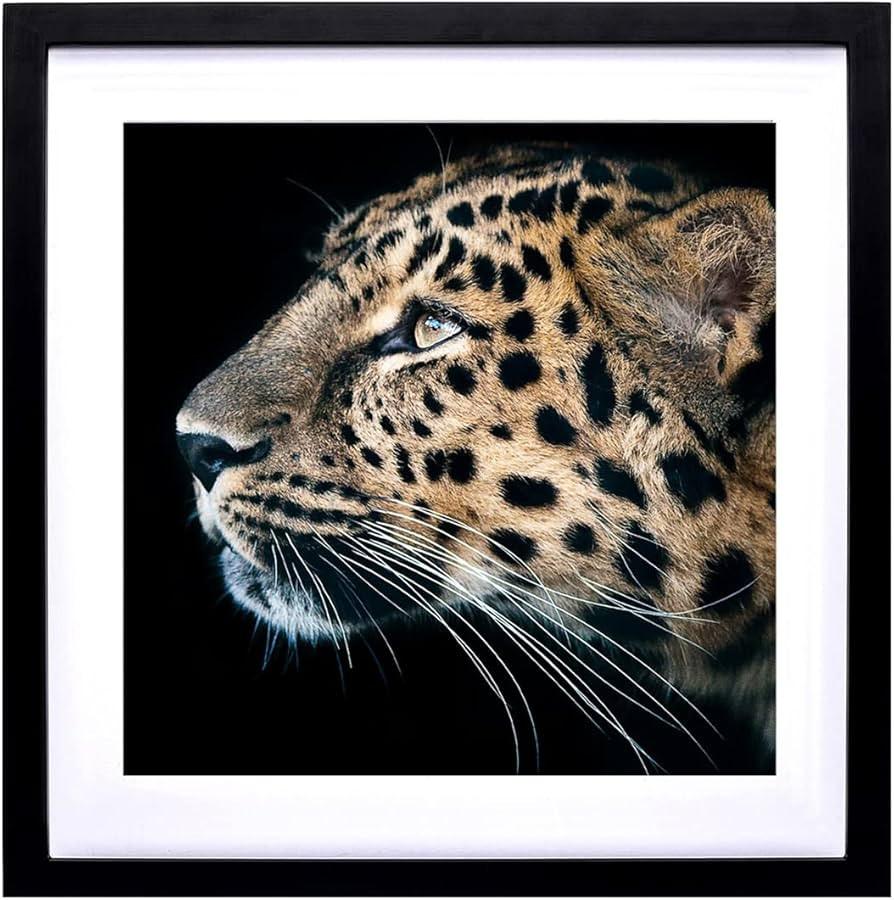 Mxtallup 40x40 Diamond Painting Frames 18x18 Diamond Art frames Picture Wood ,Display Pictures16x... | Amazon (CA)