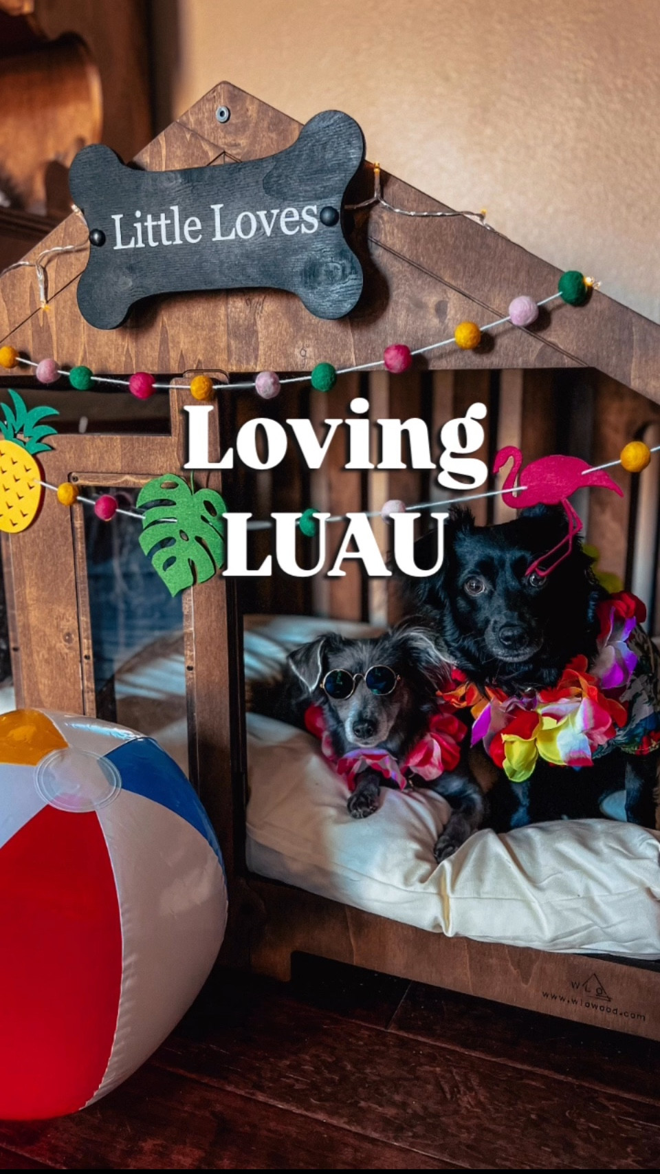 Recreate our at home Luau here! We love surprising my dad with this! ☀️🌊⛱️🏖️