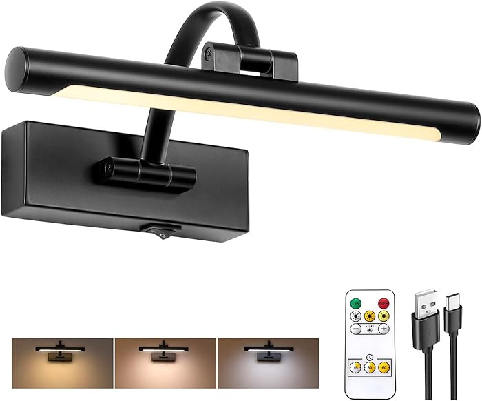Battery Powered Picture Light with Remote and Timer,Full Metal Art Light with Swing Arm,12 Inch D... | Amazon (US)