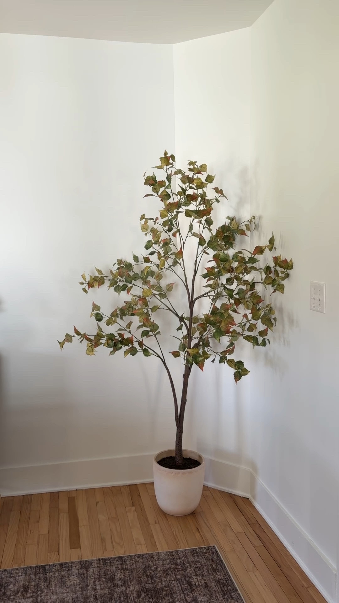 In love with Targets new 6’ fall cottonwood faux tree! The colors are so beautiful & it’s such a warm feel to my space! 

#Targethome

#LTKSeasonal