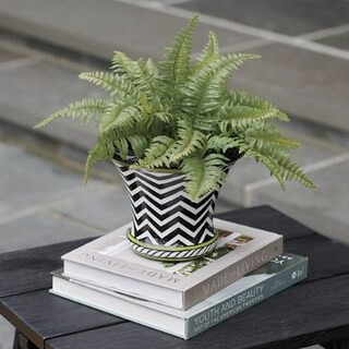Classic Fern Tabletop Mini Urn Filler | Grandin Road