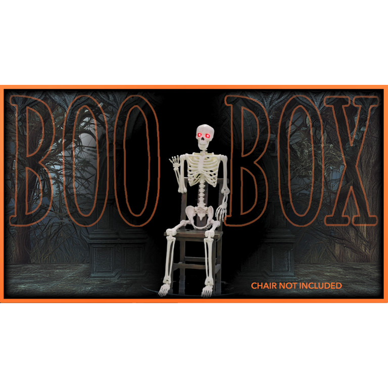5' Animated Full Size Halloween Skeleton with Lightup Eyes and Speaker | Walmart (US)