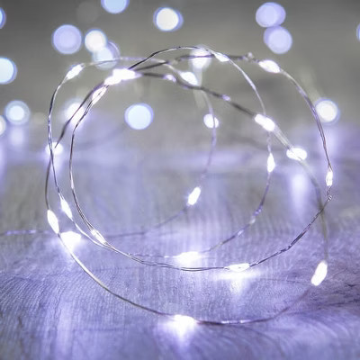 Perfect Holiday 100 LED Silver Copper Fairy Lights - Battery Operated White | Target