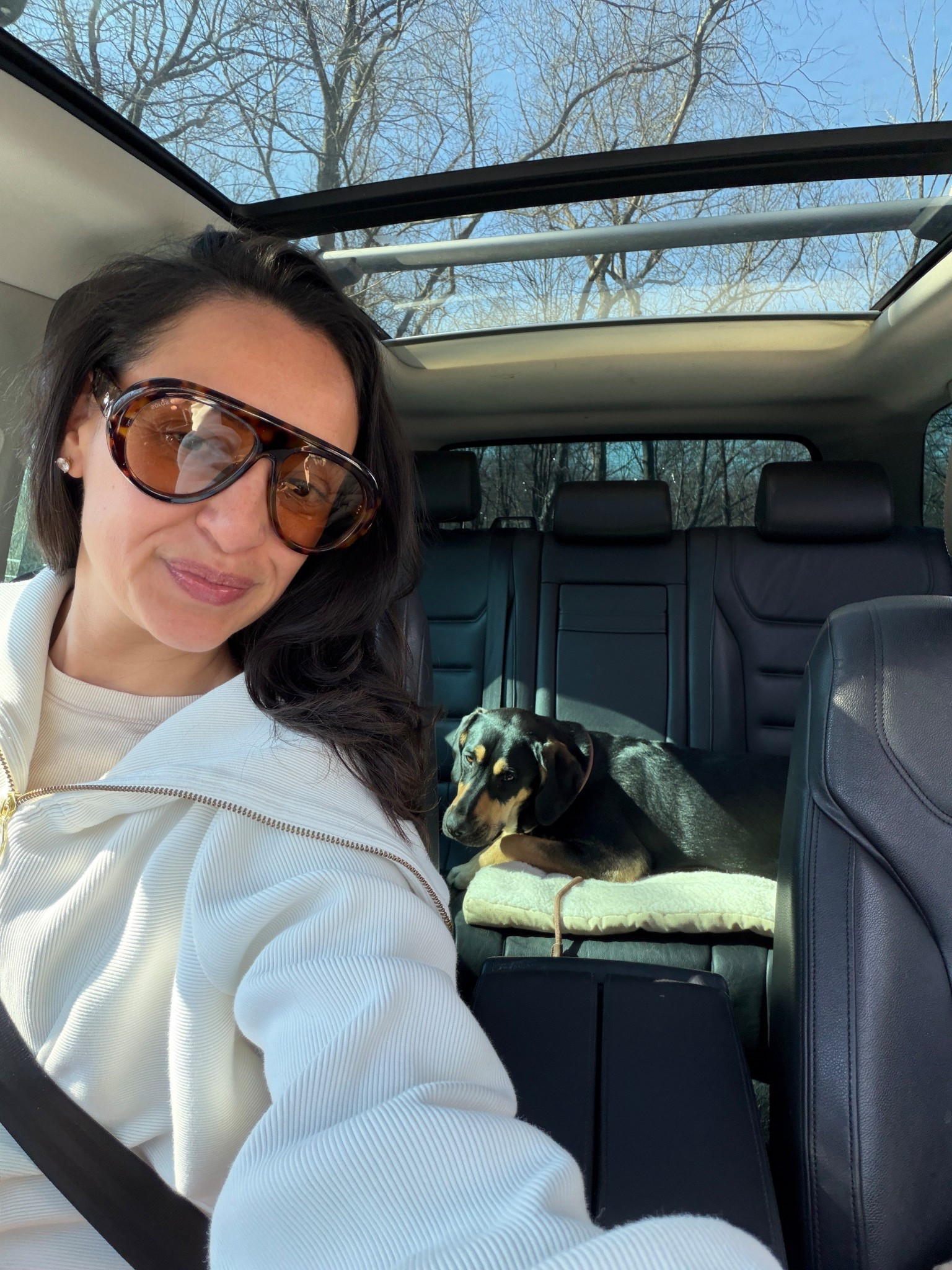 Amazon sunglasses I’m loving 

#LTKBeauty #LTKootd #LTKdayinmylife