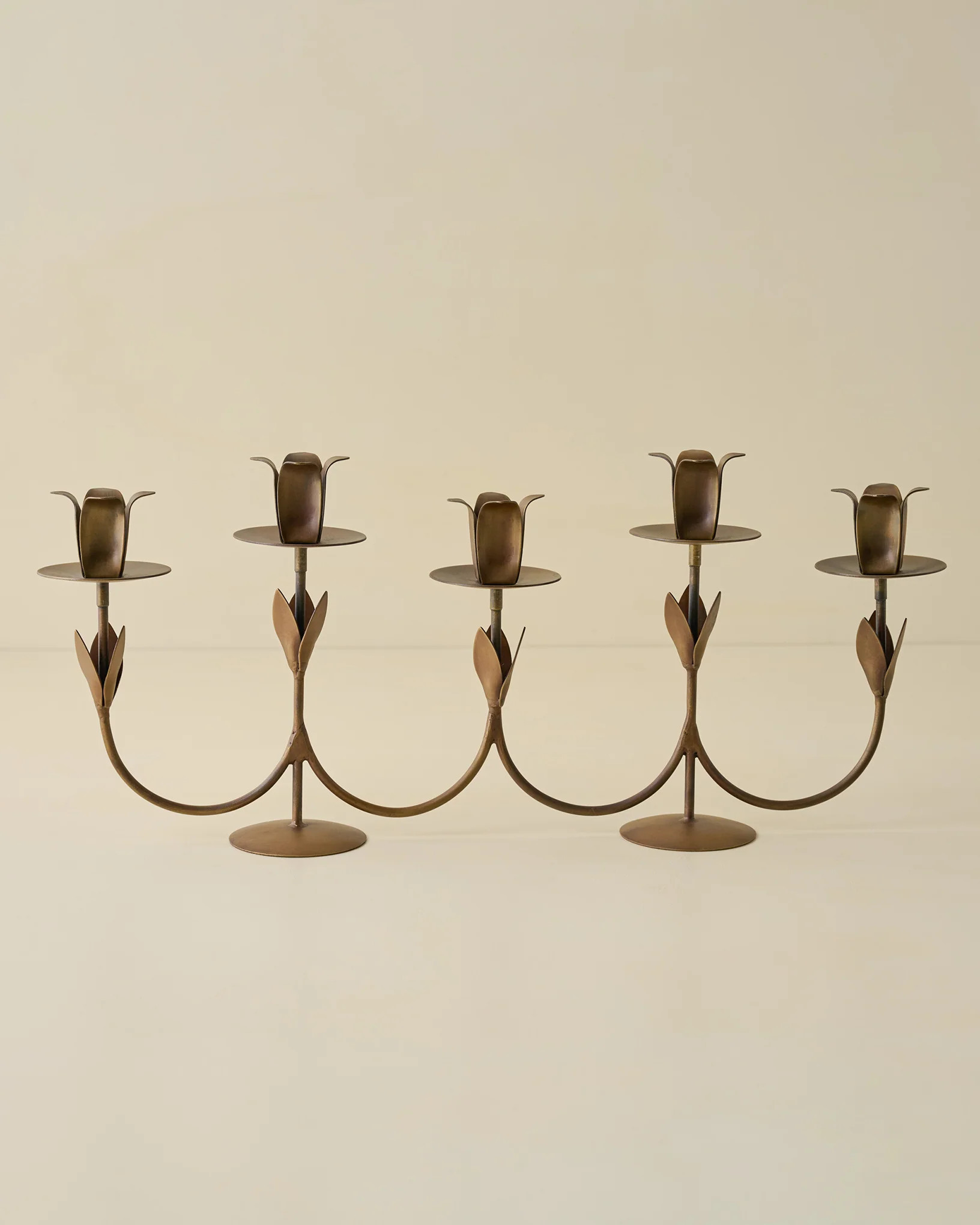Forged Tulip Candelabra | Magnolia