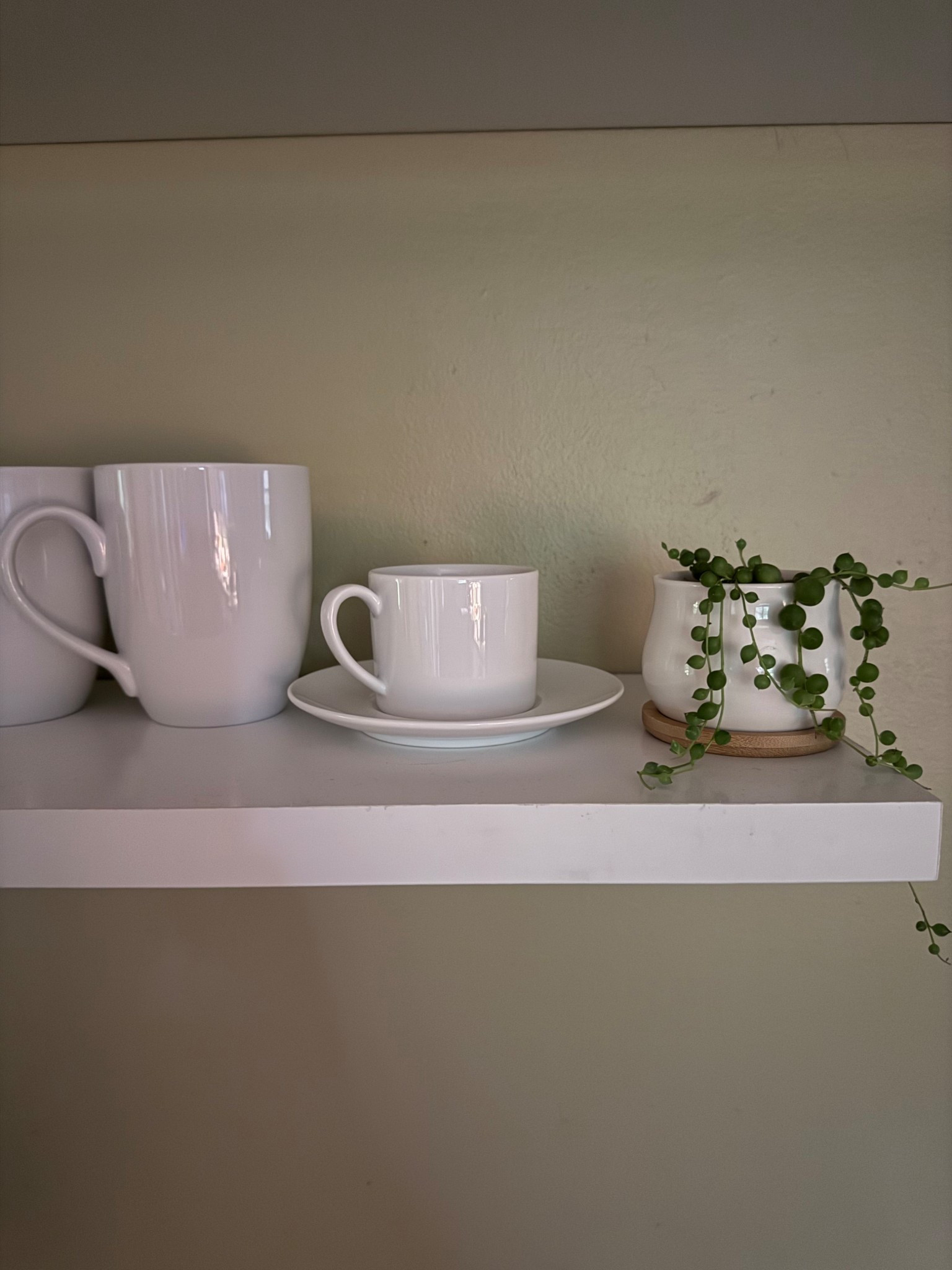 These adorable string of peaels succulents and the little white pots I planted them in are linked here. There are very very low maintenence and are so pretty trailing down from a windowsill or a floating shelf as I’ve done here. #succulents #lauracarsonmiller #kitchendecore #floatingshelves

#LTKHome #LTKdayinmylife #LTKmorningroutine