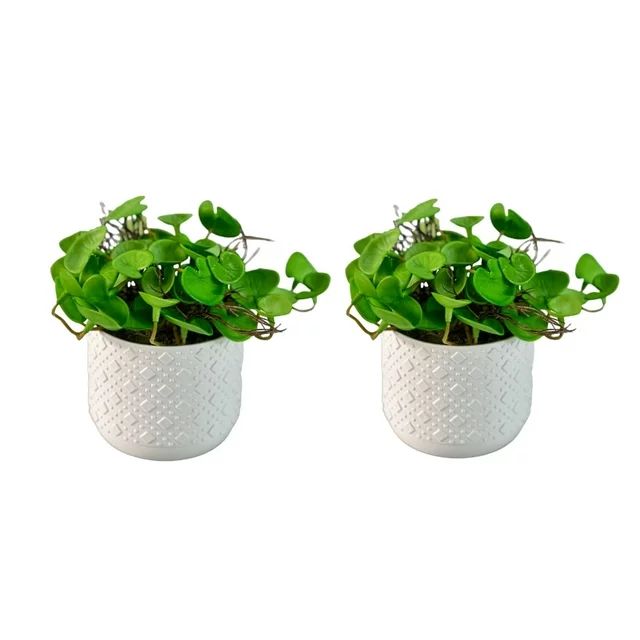 Poetree 2Pcs Faux Plants Potted, Small Artificial Plants in Pot Fake Green Plant with White Pot f... | Walmart (US)