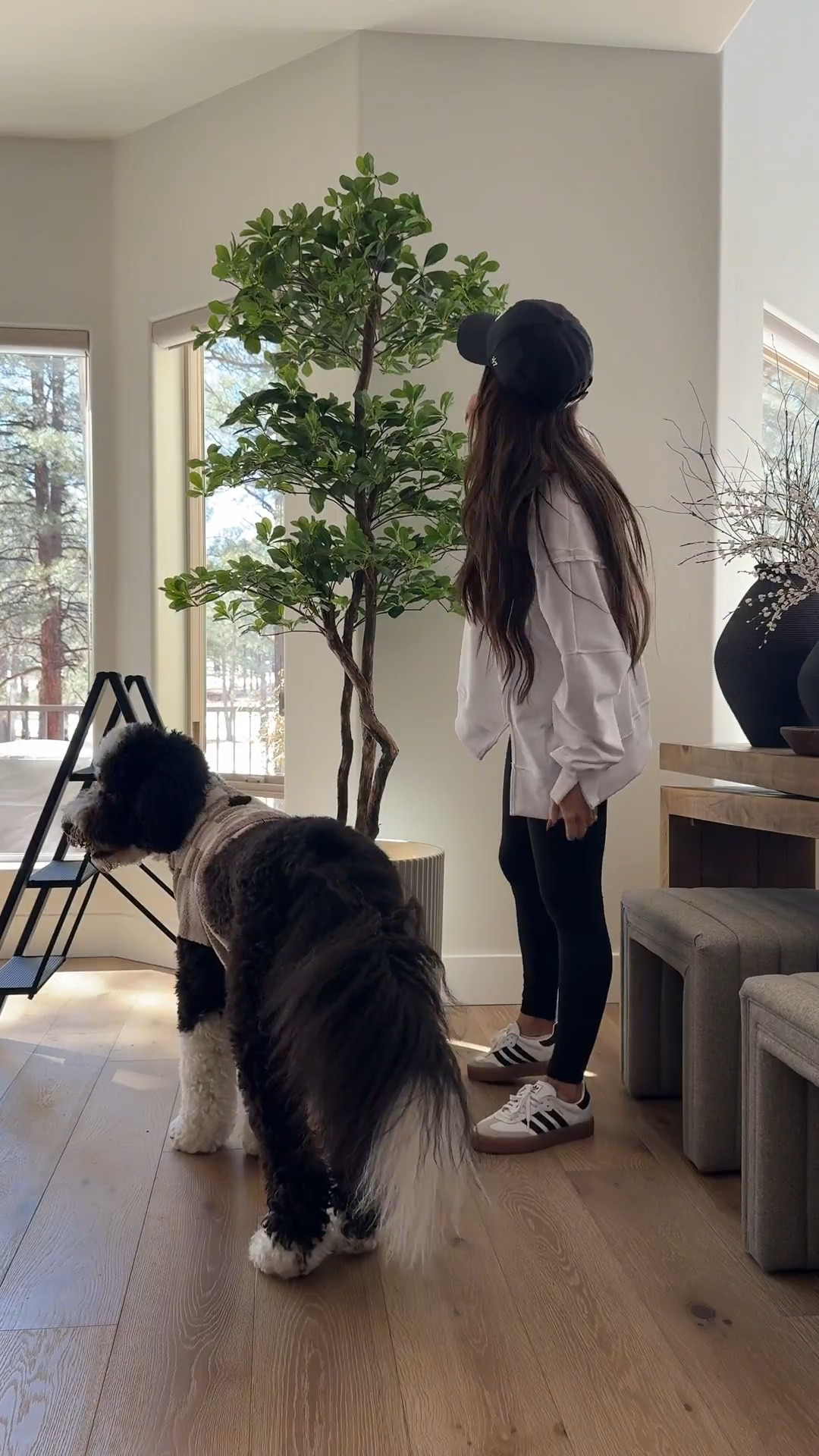 I love how unique this faux tree is instantly elevates any space in your home
Fluted planter, remote control tree light, I used risers to protect my wood floor
Amazon home, interior decoration ideas, modern organic home 



#LTKOver40 #LTKmomlife #LTKHome