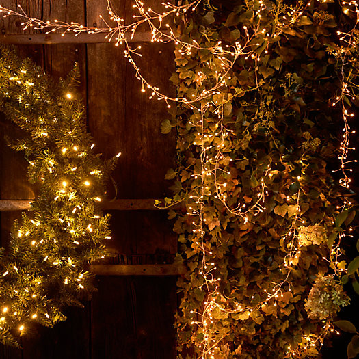 Stargazer Tendril Vine Lights | Terrain