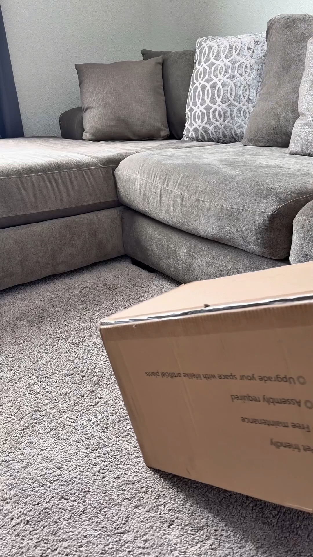 Unboxing this faux olive tree! It is perfect. 

#HomeRefresh #wayfair #olivetree #fauxtree

#LTKHome