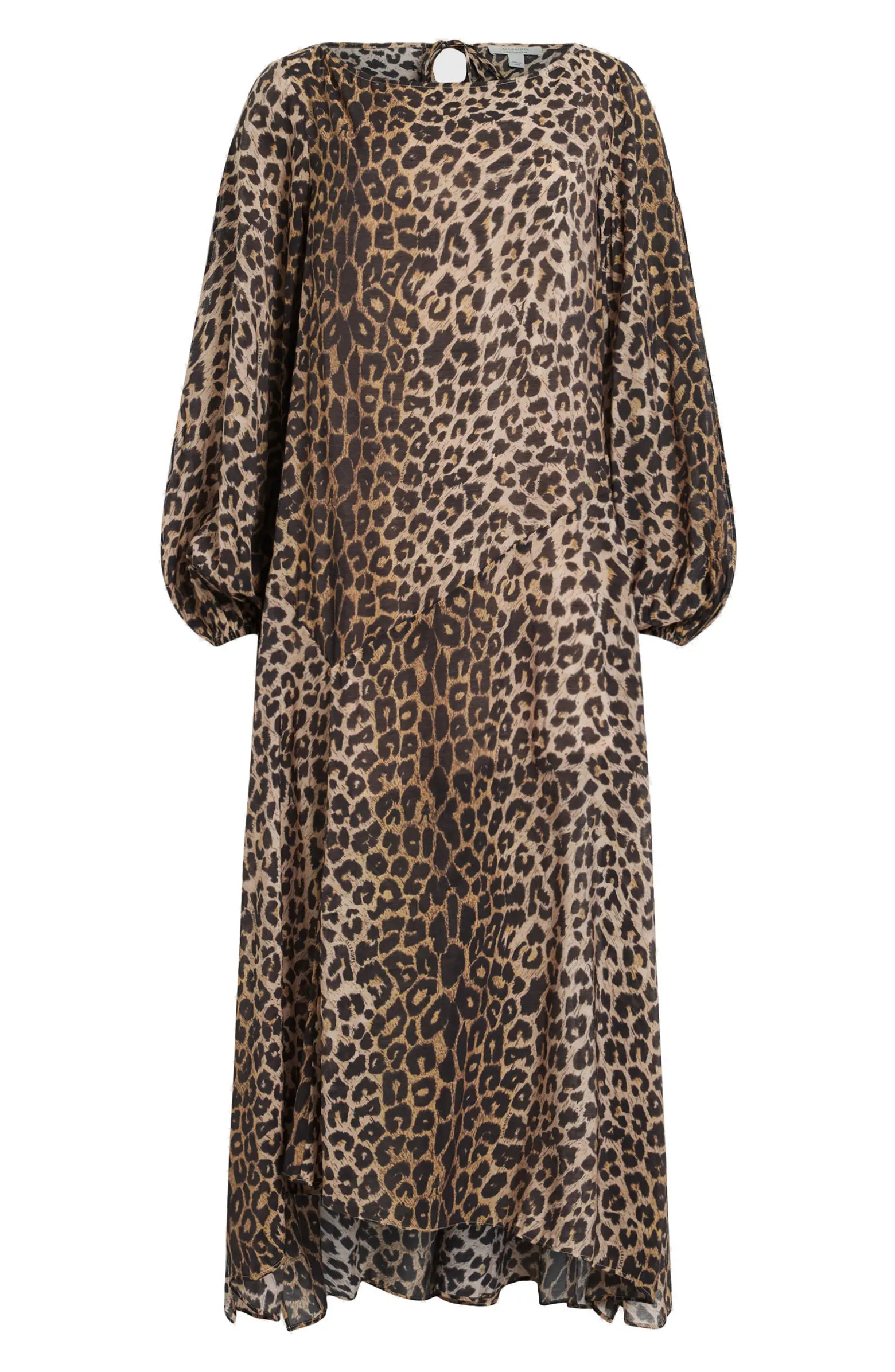 Jane Long Sleeve Leopard Print Dress | Nordstrom