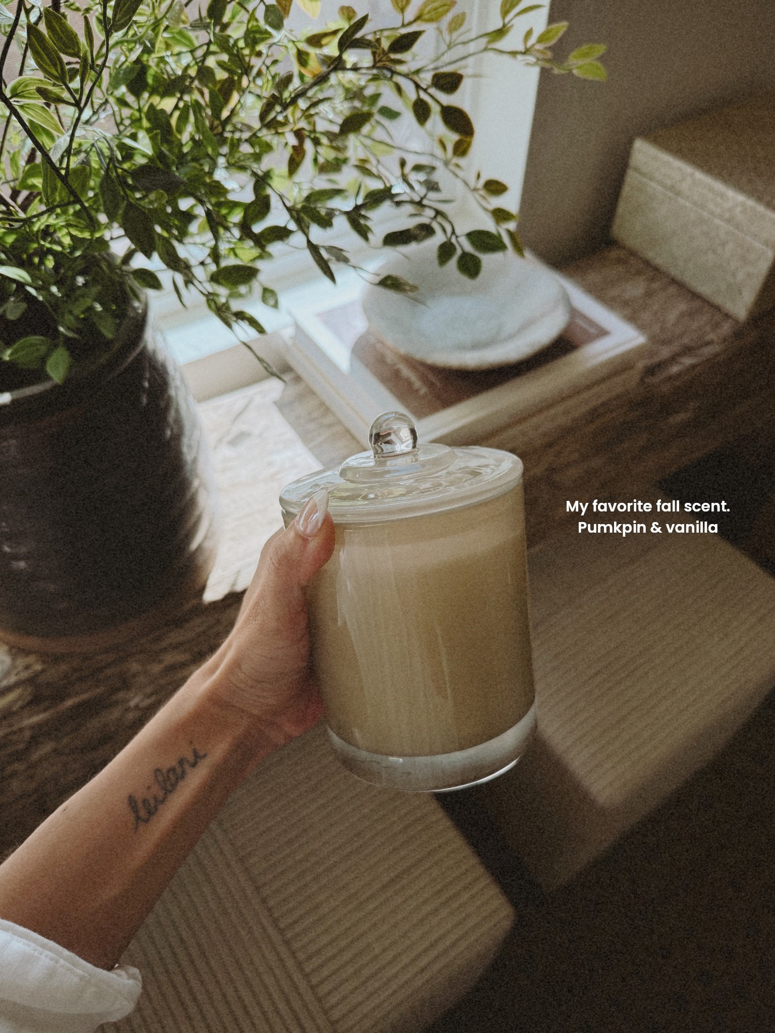 My new favorite fall scent that smells so good from target. Pumpkin & vanilla 🤍



#LTKHome #LTKFallSale #LTKSeasonal