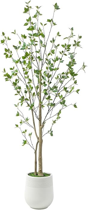 Bellacat 6ft Minimalist Artificial Citrus Tree with Large Exquisite Planter, 72in Faux Citrus Tre... | Amazon (US)