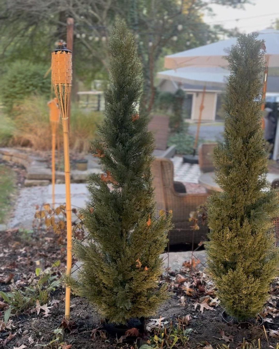 Real or Faux? 

I’ll let you in on a secret, they’re from Walmart and sooo good! I can’t stand when everything turns brown, so these will keep the green alll winter long! 

#LTKHome