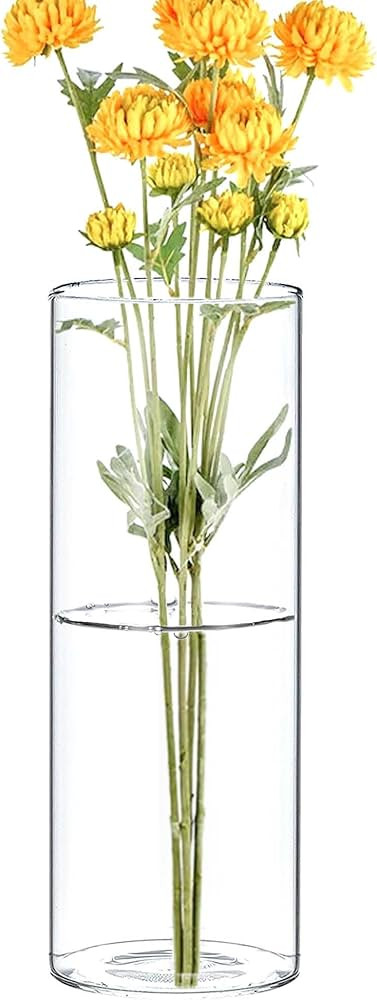 CYS EXCEL Clear Glass Cylinder Flower Vase (H:8" D:3") Hurricane Floating Candle Holder Table Wed... | Amazon (US)